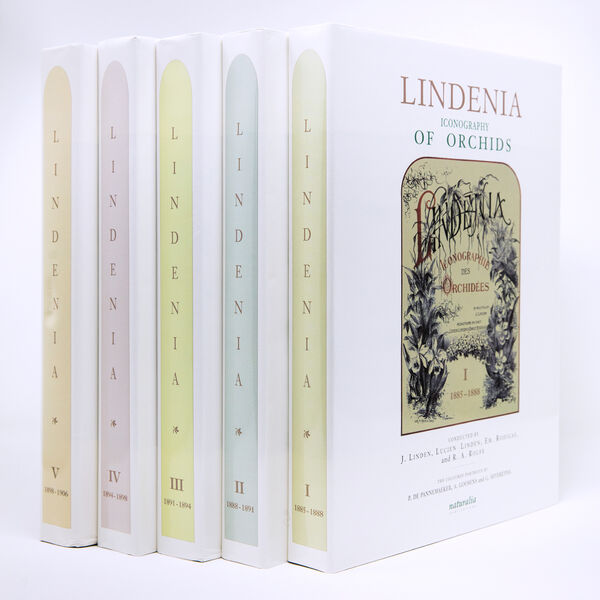 Lindenia – Iconography of Orchids