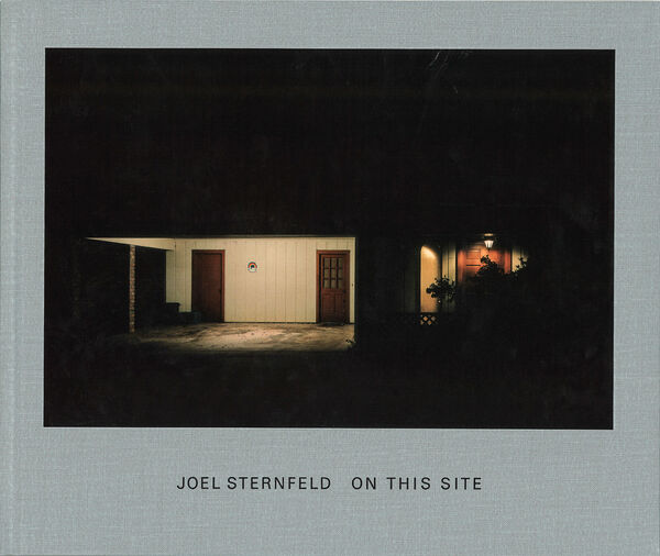 Joel Sternfeld – On This Site