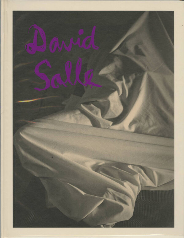 David Salle – Photographs