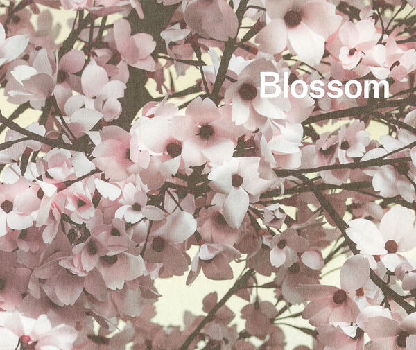 Thomas Demand & Ben Lerner – Blossom