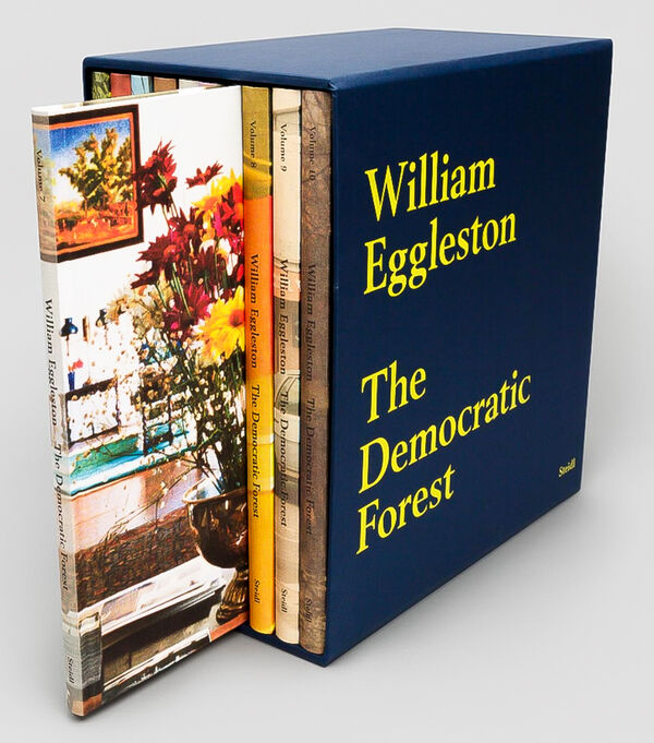 William Eggleston – The Democratic Forest