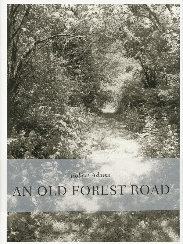 Robert Adams – An Old Forest Road