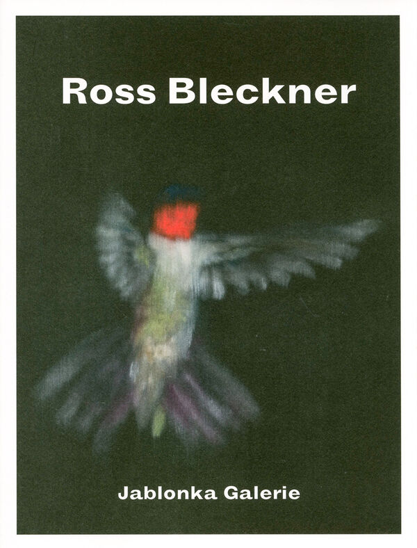 Ross Bleckner – Birds, Brains, Flowers