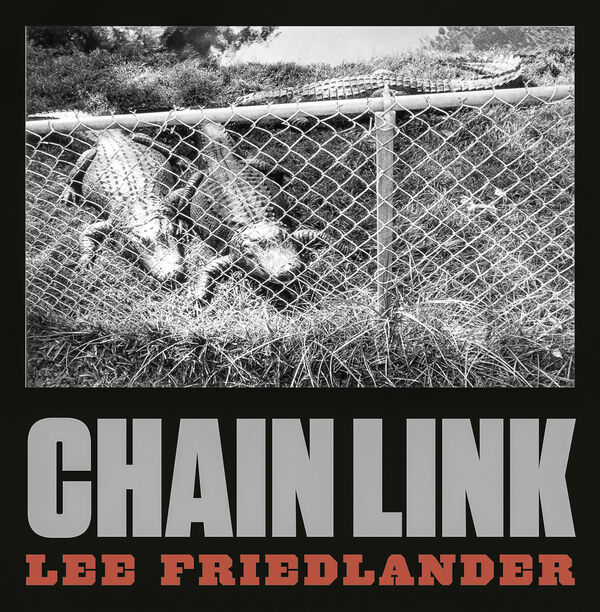 Lee Friedlander – Chain Link