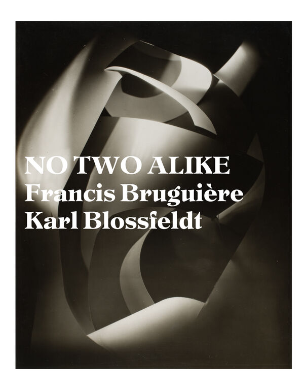 No Two Alike – Karl Blossfeldt, Francis Bruguière, Thomas Ruff