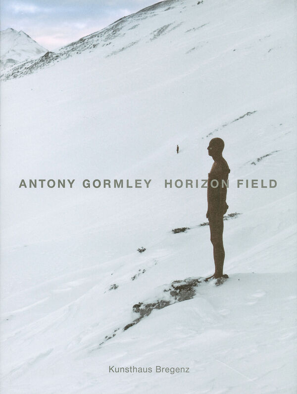 Antony Gormley – Horizon Field