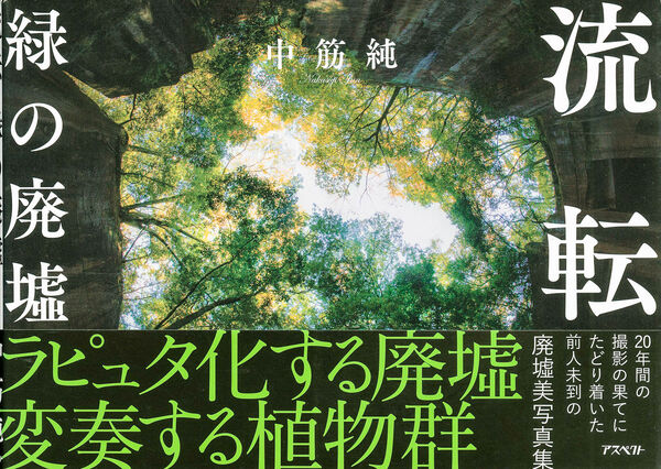 Jun Nakasuji – Overgrown Ruins