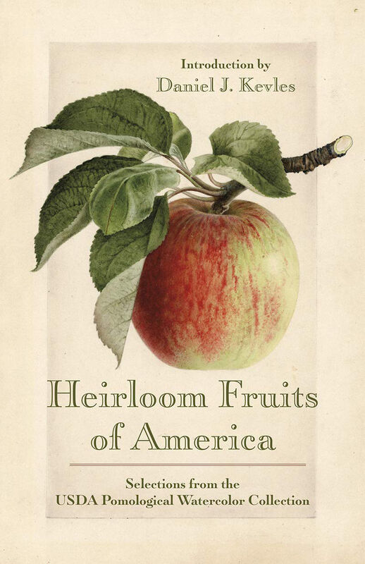 Heirloom Fruits of America