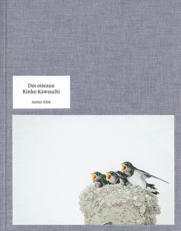 Rinko Kawauchi – Des oiseaux