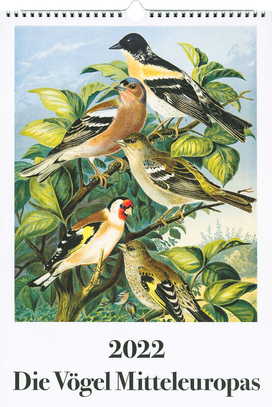 Johann Friedrich Naumann – Die Vögel Mitteleuropas