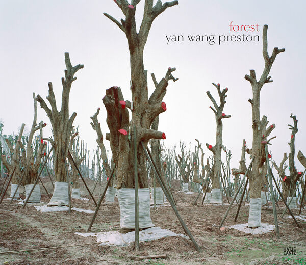 Yan Wang Preston – Forest