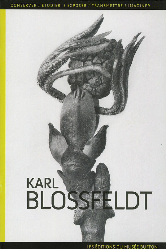 Karl Blossfeldt – face à face avec la nature