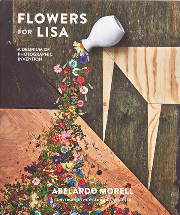 Abelardo Morell – Flowers for Lisa