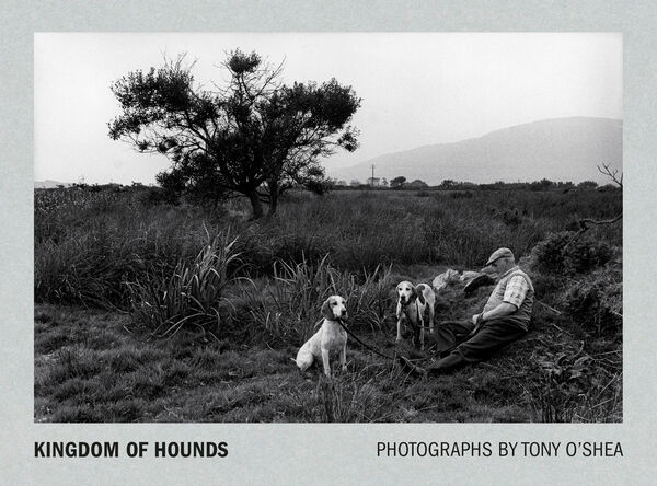 Tony O'Shea – Kingdom of Hounds